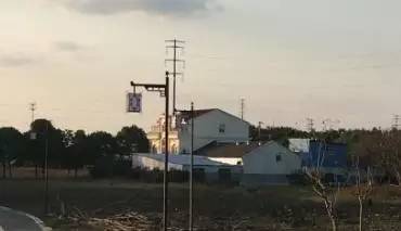 善港村 从美丽乡村到旅游胜地的蝶变之路