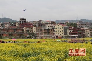 节庆引流，设施筑基 泉州洛江虹山旅游产业的双轮驱动